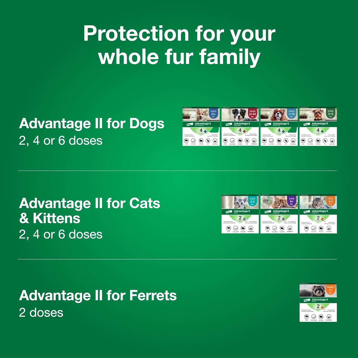 71DSNc0etcL._AC_SL1500_-1.jpg 71DSNc0etcL._AC_SL1500_-1.jpg