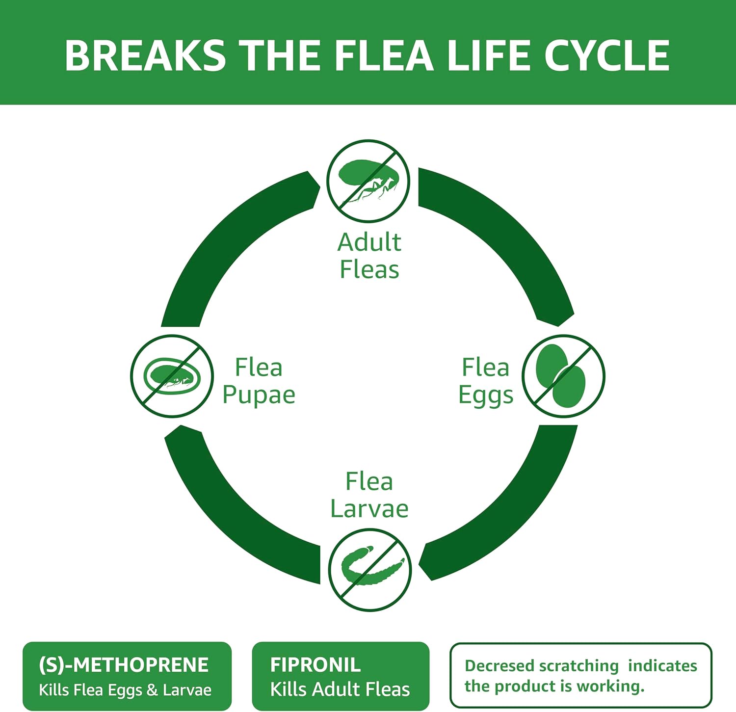 71ZDYfHgF2L._AC_SL1500_.jpg 71ZDYfHgF2L._AC_SL1500_.jpg