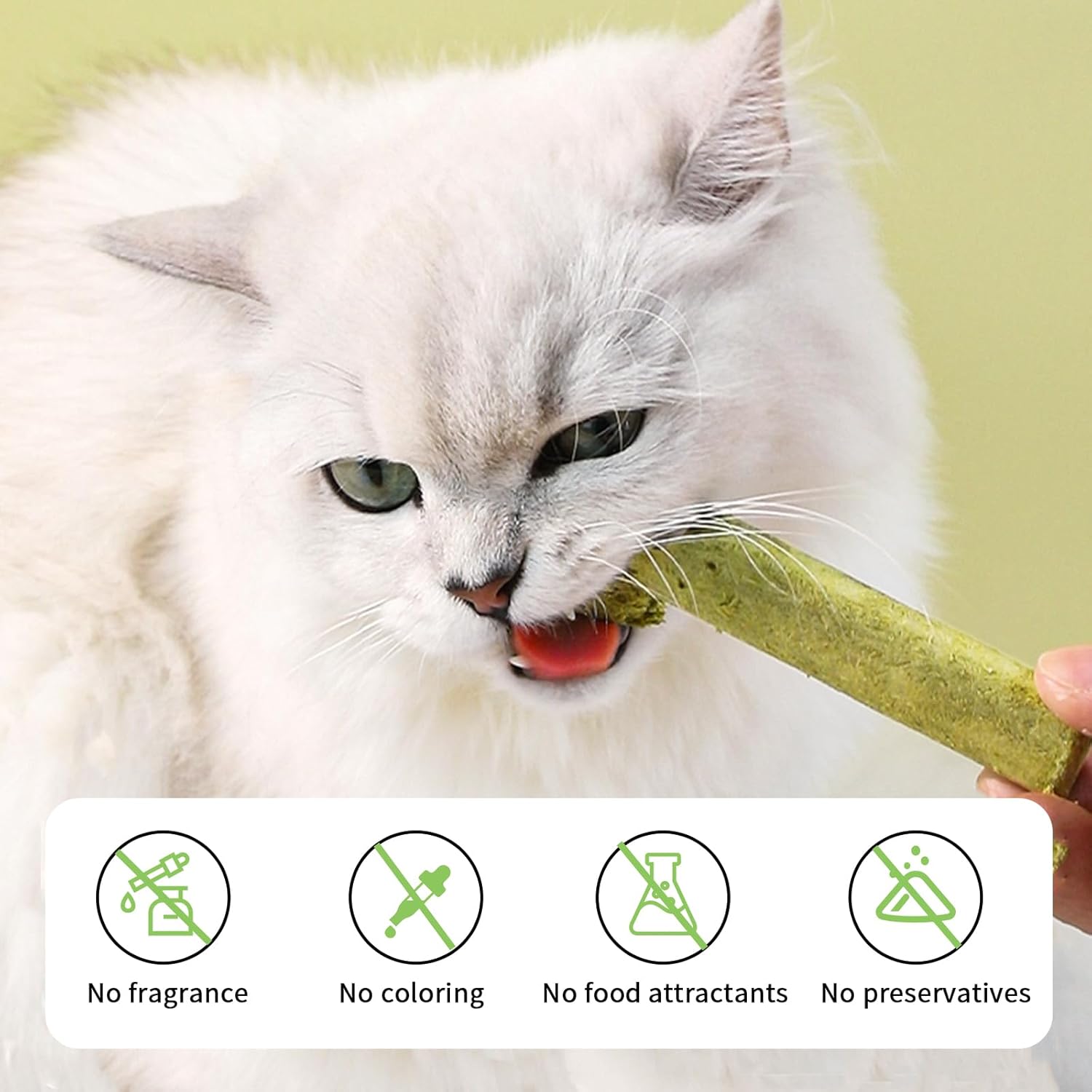 71aQT31jqPL._AC_SL1500_.jpg 71aQT31jqPL._AC_SL1500_.jpg