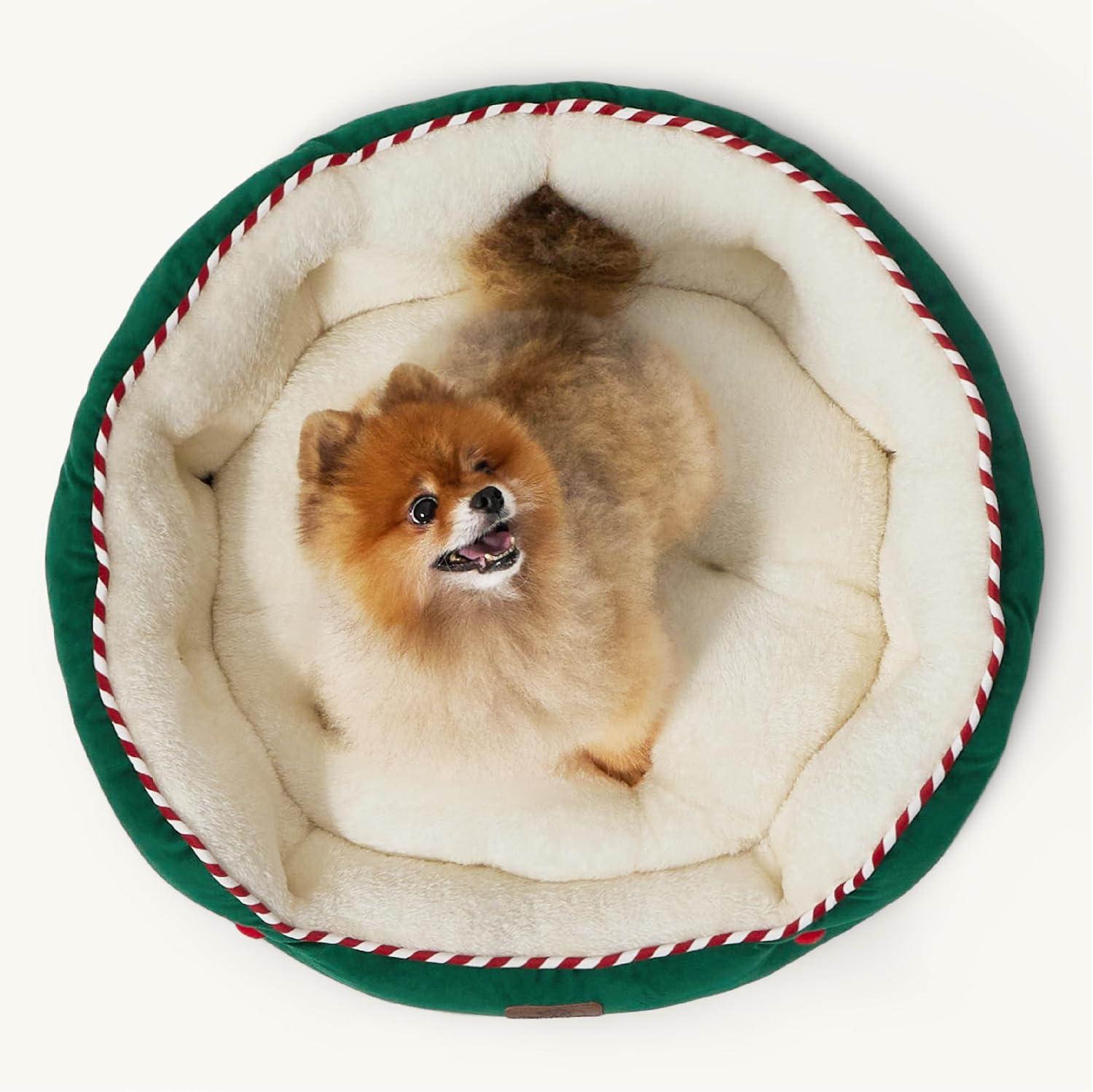 811q5Se0lWL._AC_SL1500_.jpg 811q5Se0lWL._AC_SL1500_.jpg