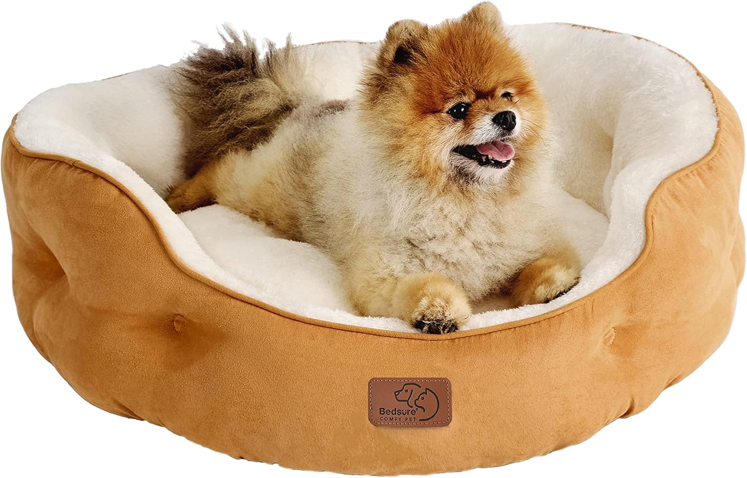 81M9FUwkXL._AC_SL1500_.jpg 81M9FUwkXL._AC_SL1500_.jpg