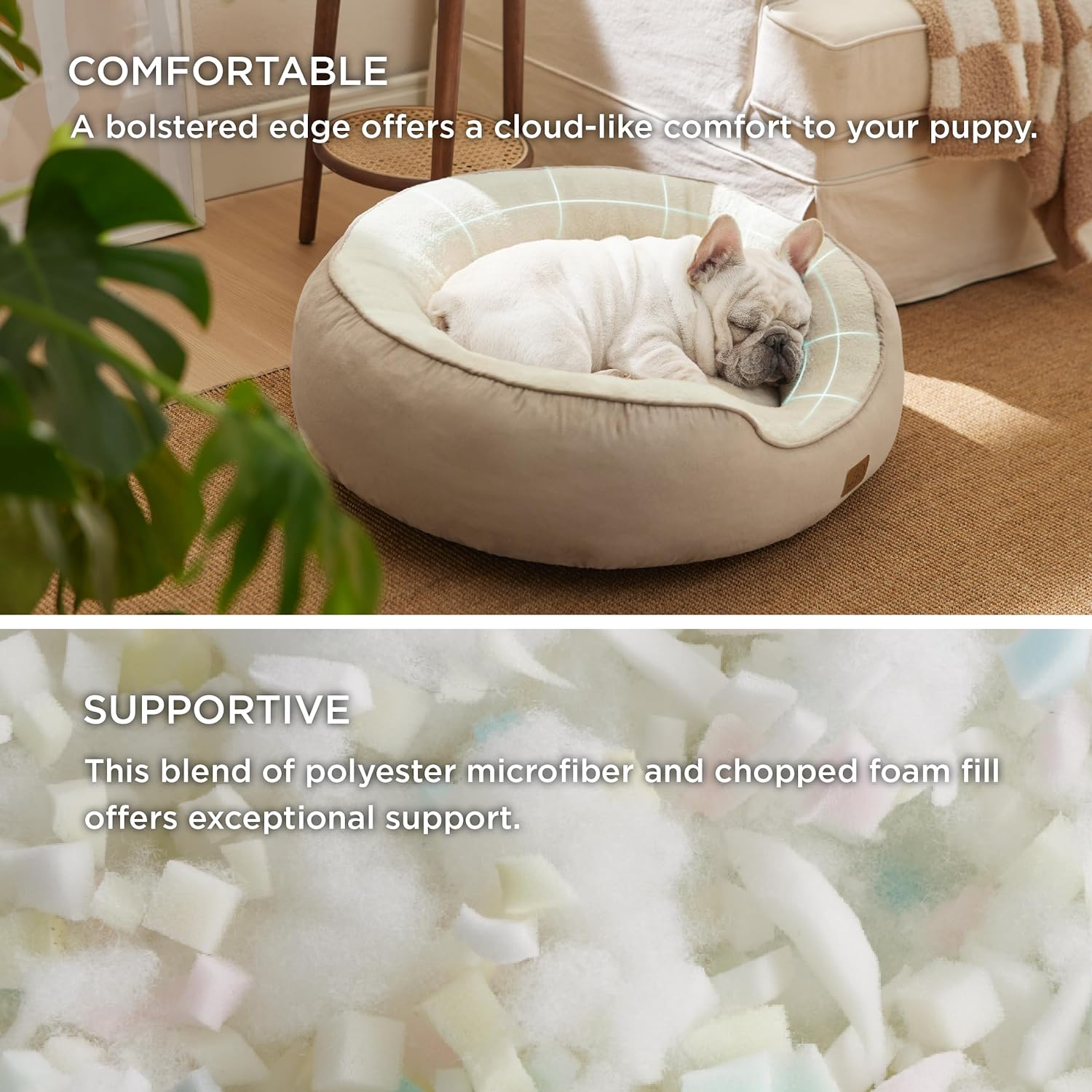 81Tg2DMwyL._AC_SL1500_.jpg 81Tg2DMwyL._AC_SL1500_.jpg