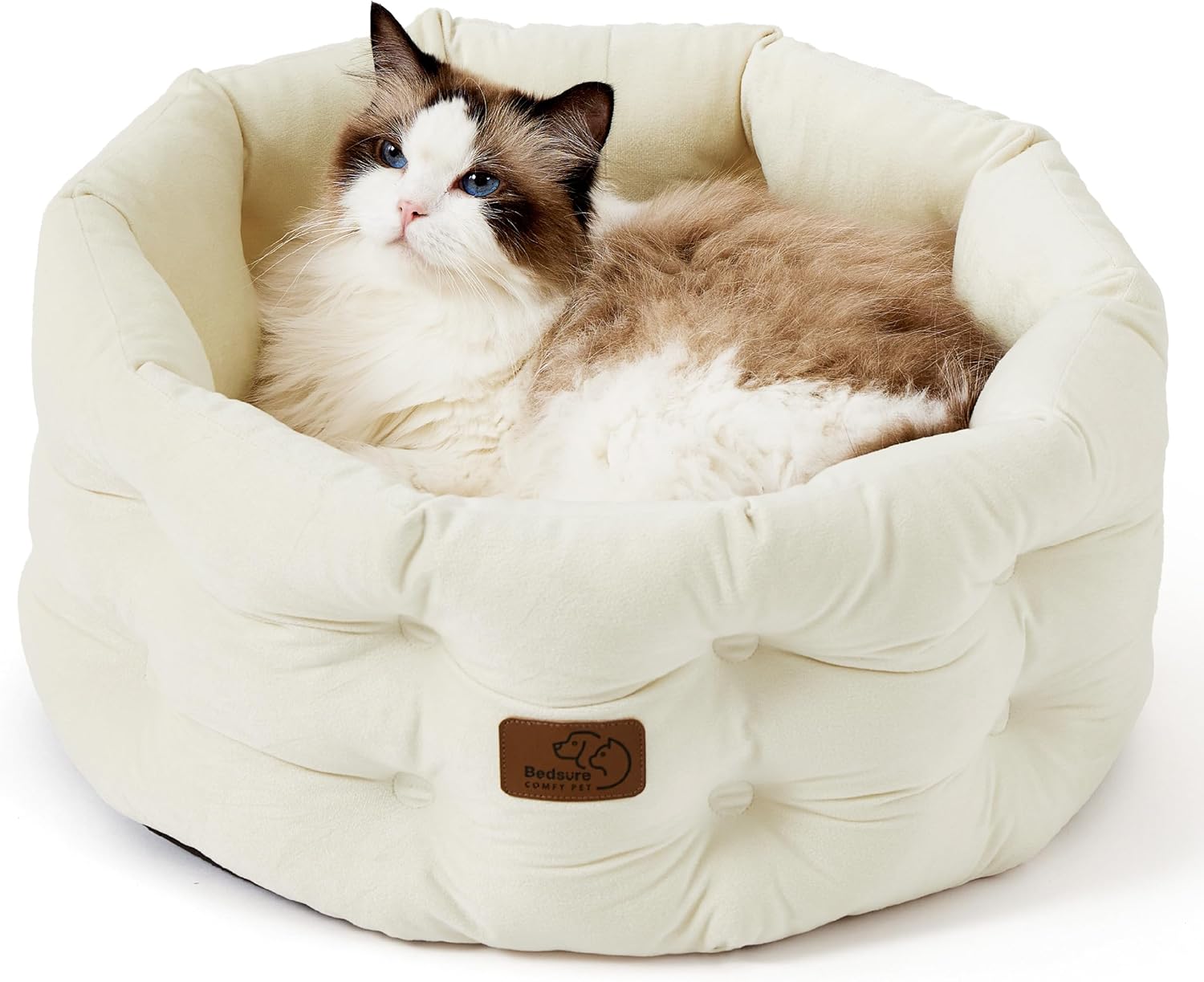 81gPQKLa-TL._AC_SL1500_.jpg 81gPQKLa-TL._AC_SL1500_.jpg