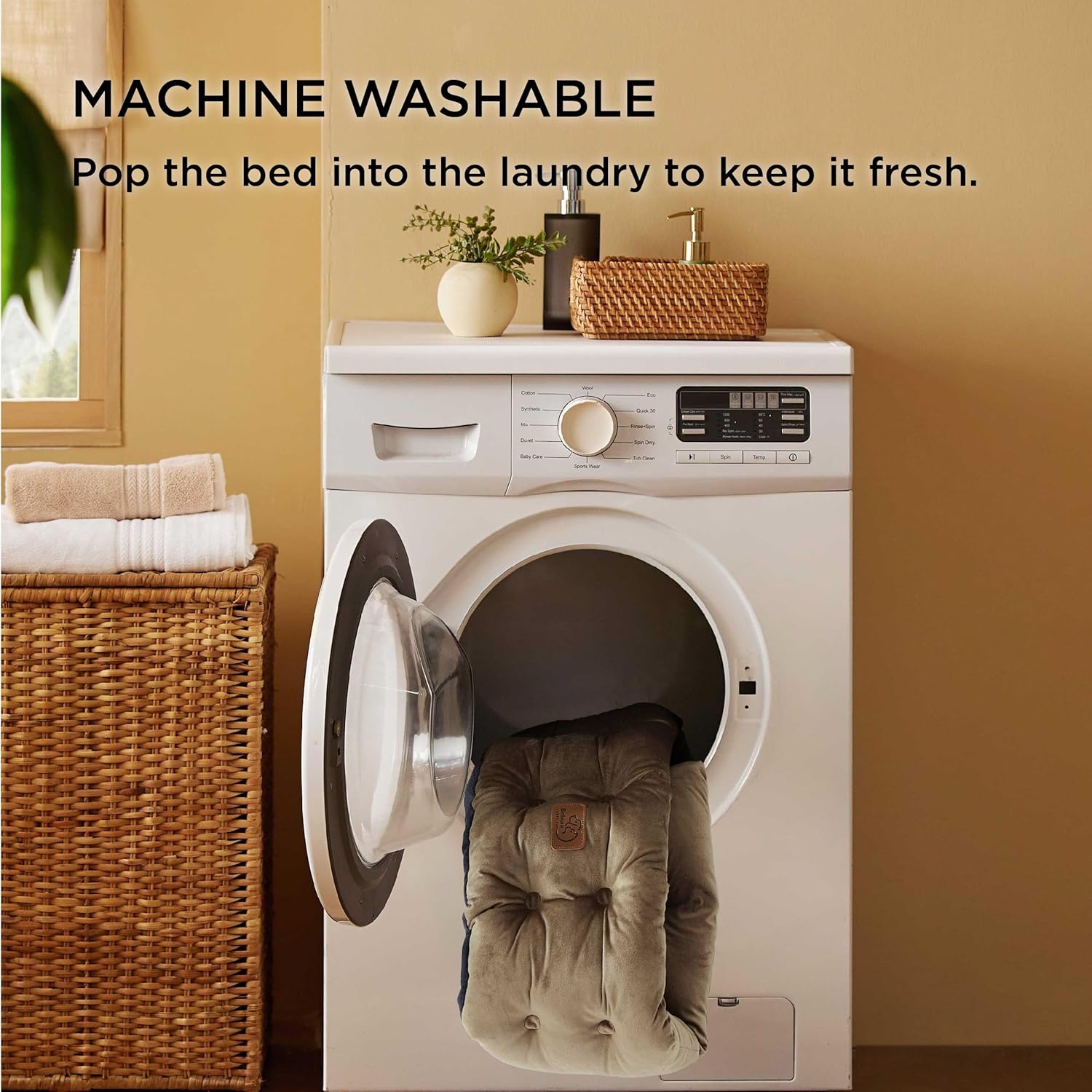 81hthEo0p2L._AC_SL1500_.jpg 81hthEo0p2L._AC_SL1500_.jpg