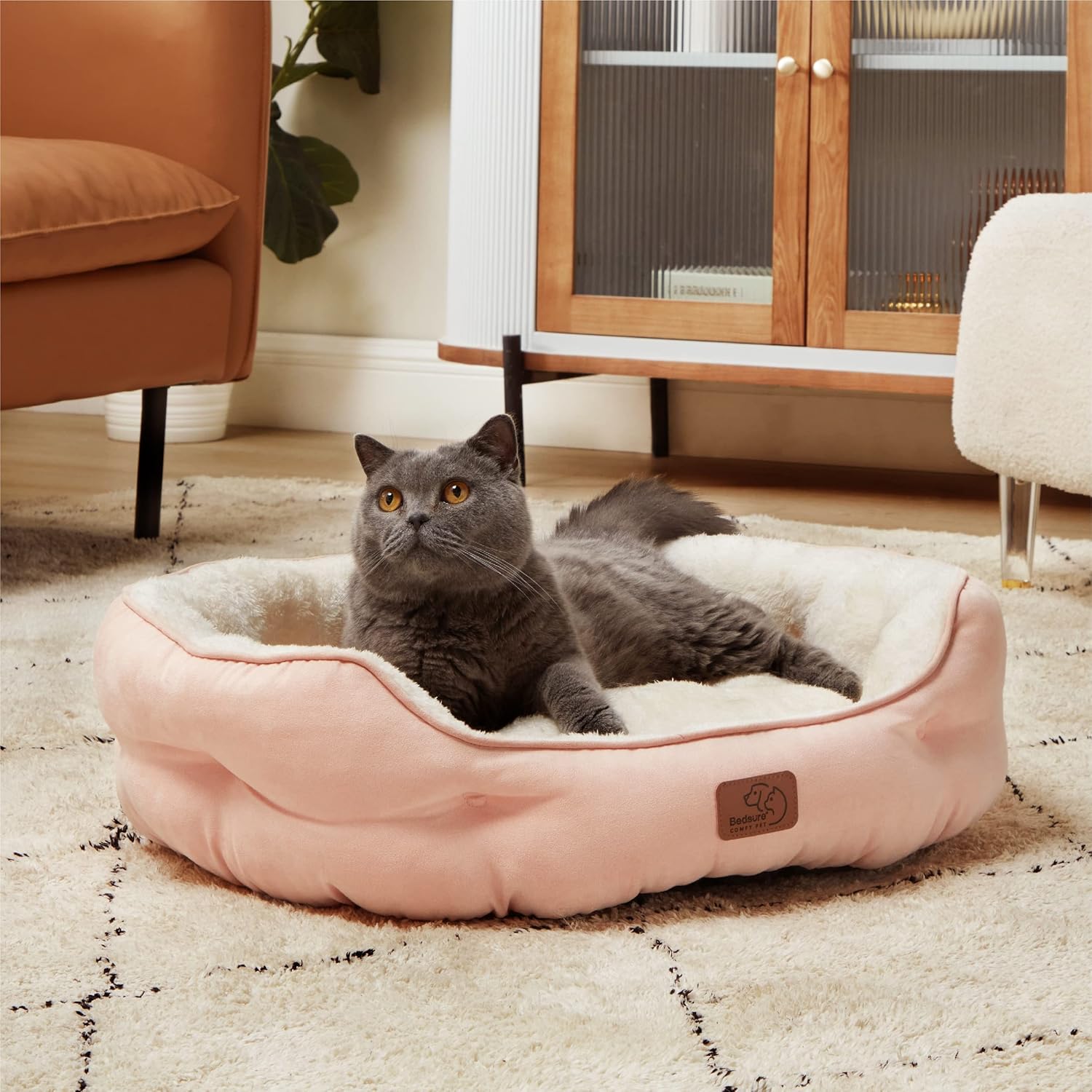 81m6As7UDZL._AC_SL1500_.jpg 81m6As7UDZL._AC_SL1500_.jpg