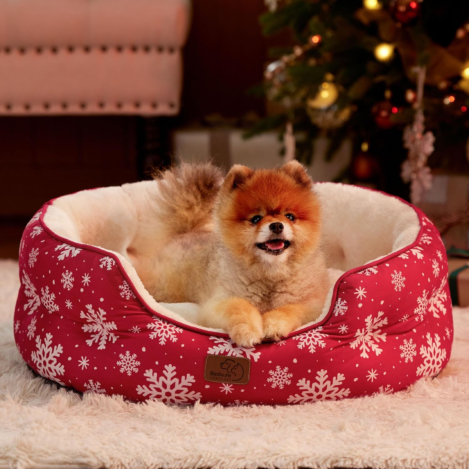 81vXihodOxL._AC_SL1500_.jpg 81vXihodOxL._AC_SL1500_.jpg