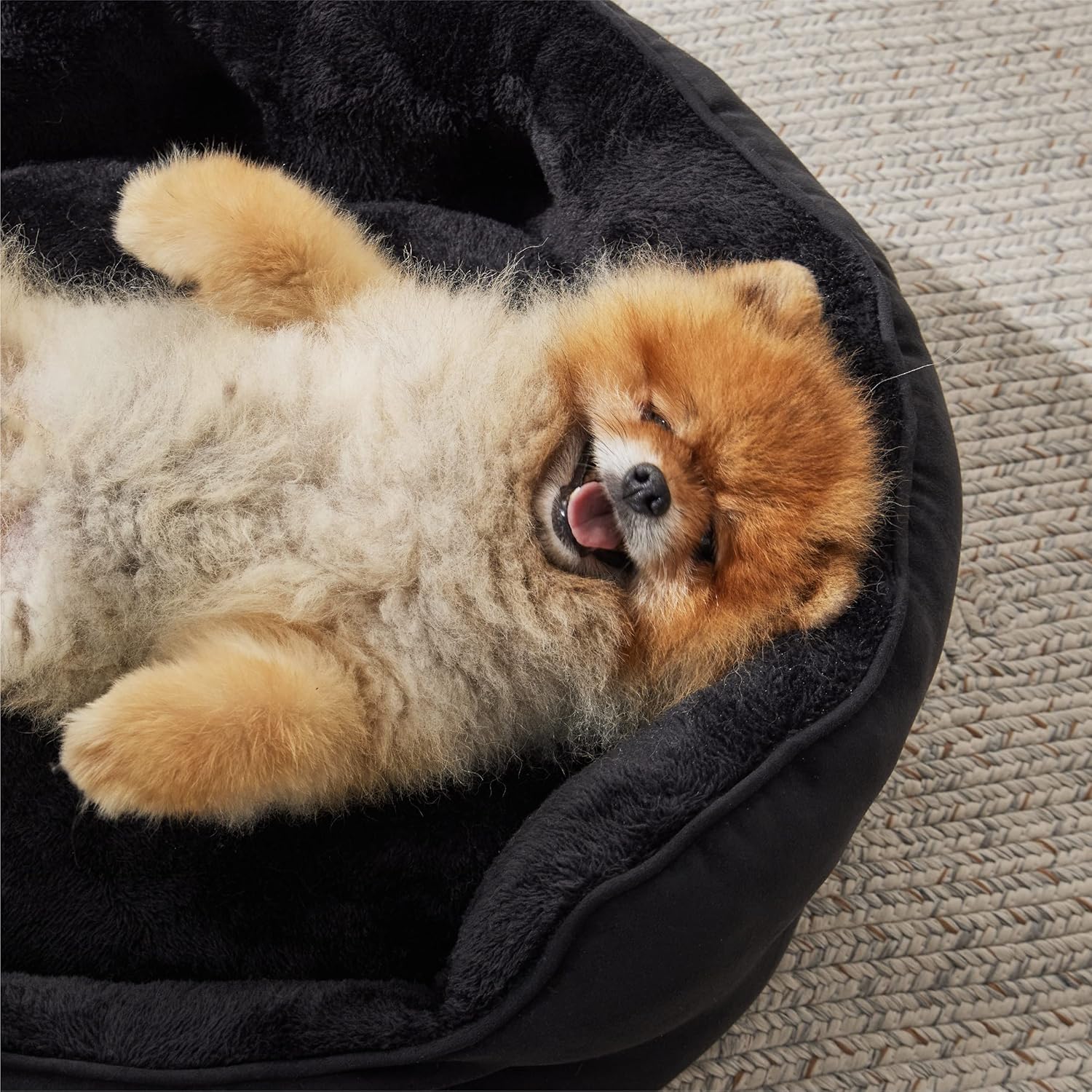 91gZ7bf7TnL._AC_SL1500_.jpg 91gZ7bf7TnL._AC_SL1500_.jpg