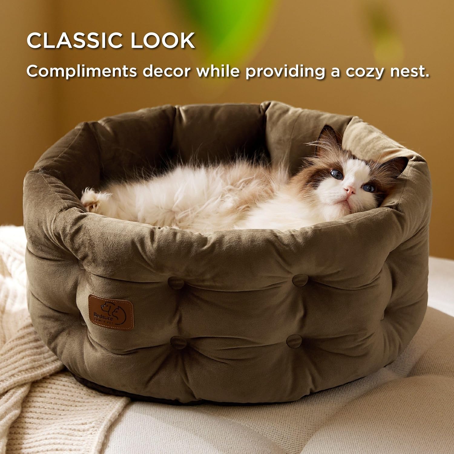 91yeNaOFBRL._AC_SL1500_.jpg 91yeNaOFBRL._AC_SL1500_.jpg